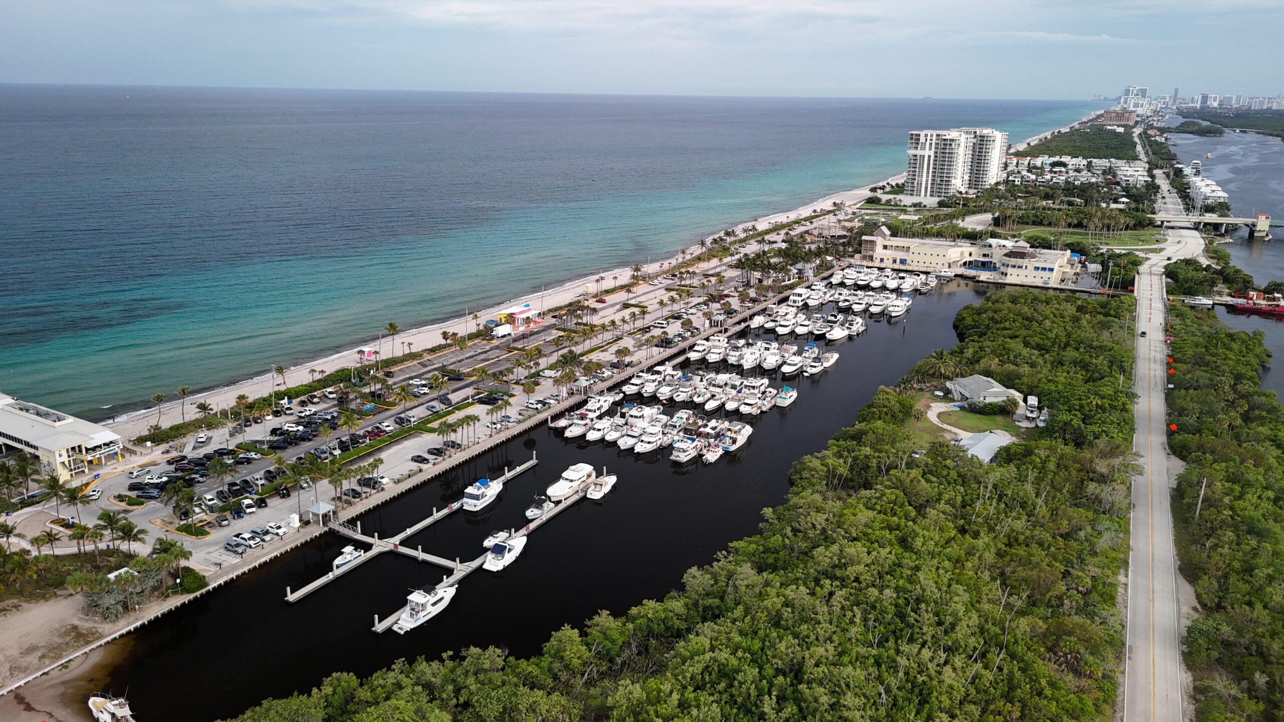 Discovering Dania Beach Marina – A Hidden Gem in South Florida image